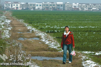 故乡的绿草地简谱_绿草地卡通图片