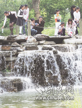 义母义女情意深 30年前谁送给孔科长一个孩子