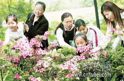 <em>义母</em>义女情意深 30年前谁送给孔科长一个孩子