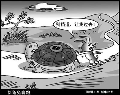 图文:新龟兔赛跑