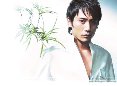 分手8个月后首谈谢娜 刘烨希望重修旧好(图)