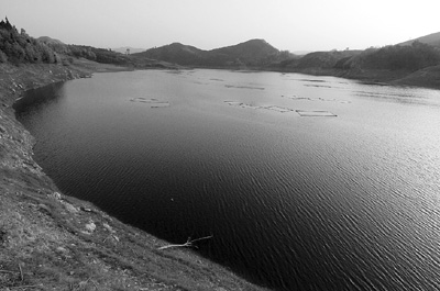 [今日视点]环境污染 国家之痛(图)