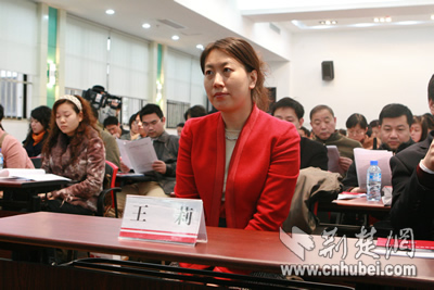 湖北政府带头拒绝盗版软件 重点推进企业使用