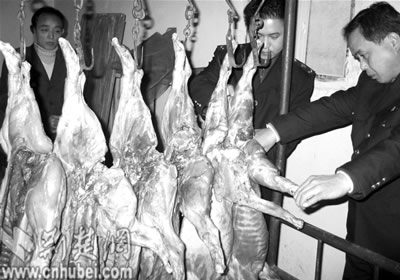 权威部门检验:无膻味羊肉实为病死猪肉