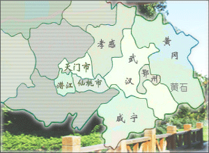 武漢城市圈8市新一屆政府領(lǐng)導(dǎo)班子名單公布(圖1)