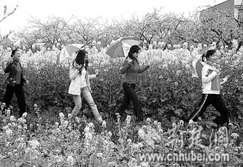 图文:夏秋卖果春卖花 枝江乡村逍遥游