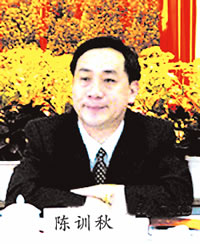 陈训秋任武汉市委书记