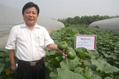 阿根廷西葫芦江夏试种成功(图)