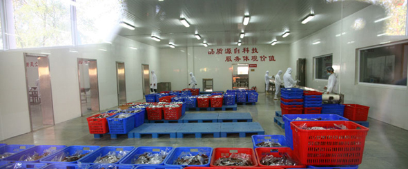 ����Ѽ����������Χ��