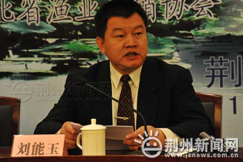 湖北水总董事长_湖北董事长叶必文妻子(2)