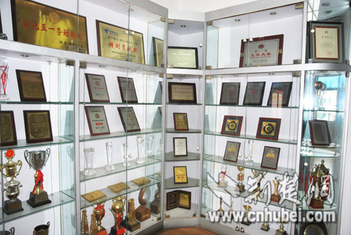 [新世纪新文物]武汉电信艺术团:造就湖北十进春