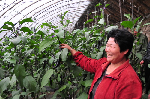 辽宁阜新市集团帮村扶贫开发工作纪事-荆楚