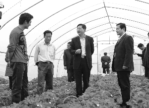 邳州千余干部下基层专找