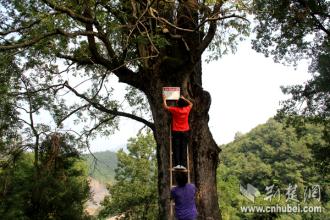 ������̬��������߶��߸�������Ͱ���