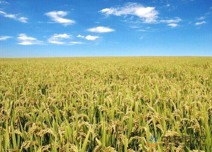 ��2020�꽫��Ч22��Ԫ δ������ˮ��������