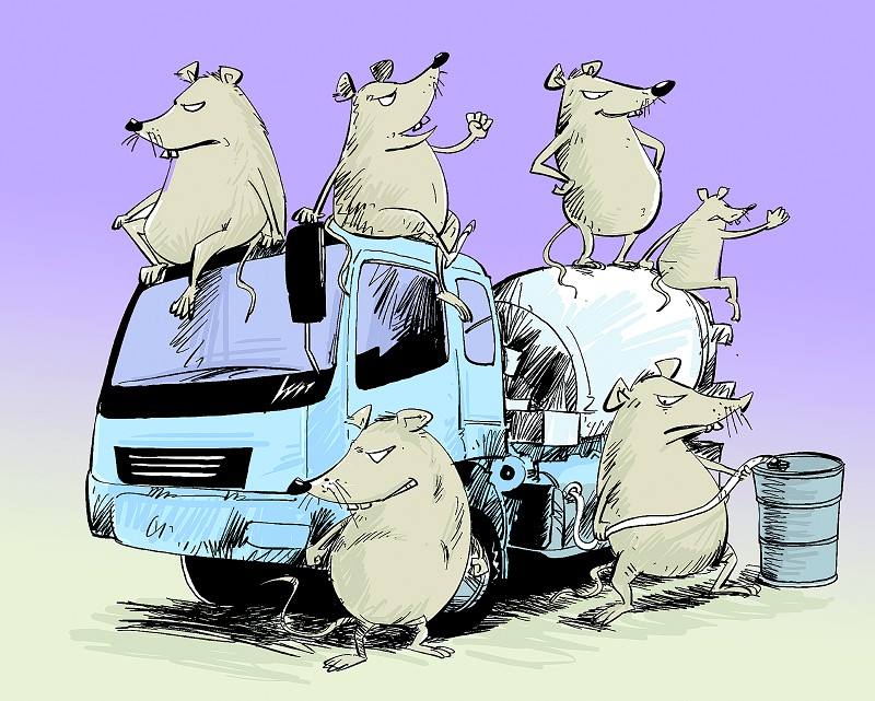 ���ݴ�����α��조�ķ硱 �ڳ�˽������"�ͺ���"