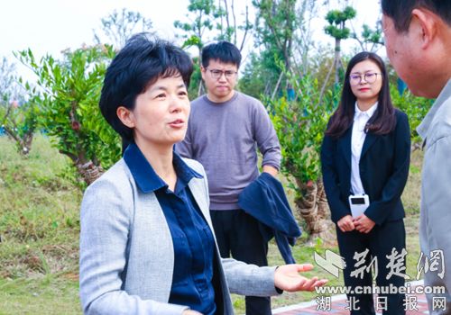 ���������г�������ϼ���������λ������