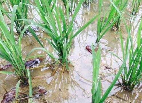 �����齨Ϻ����ҵЭ�� ����һ������Ʒ��