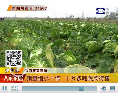 ����������Сʮ�� ����᯺ӳ�10����߲�����