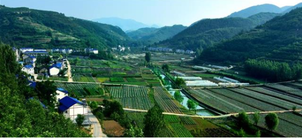 ��2020��,����������ˮ����ʧ���3900ƽ������