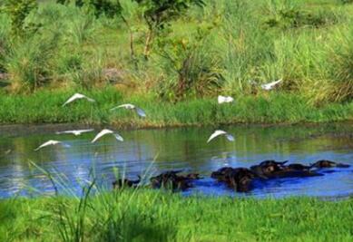 ����Ե� ������̽������ˮ��̬��������