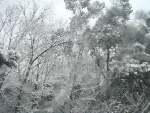 û����һ���ش��¹�!��ѩ��ǰ,������θɵ�Ư��