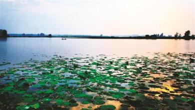 �人���غӺ�������Ϣ����:����"һ��һ����"����