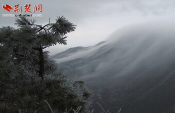 《我们结婚了》最受欢迎夫妇:精灵夫妇正当红