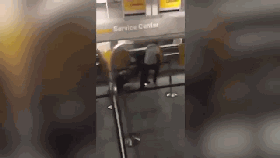 武汉晴川学院2016年计划招生3380人