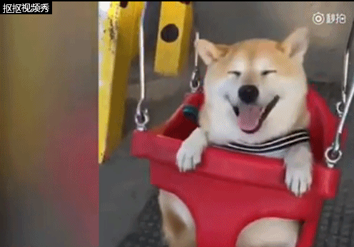 多位专家来武穴市梅川高中调研 高度评价该校课改--