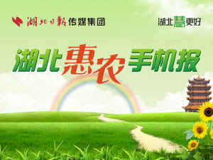 双城招聘信息_2015哈尔滨双城区教师招聘报名入口