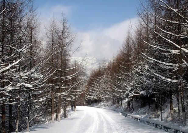 扫神码,送神农架天燕滑雪场门票(价值80元)-荆