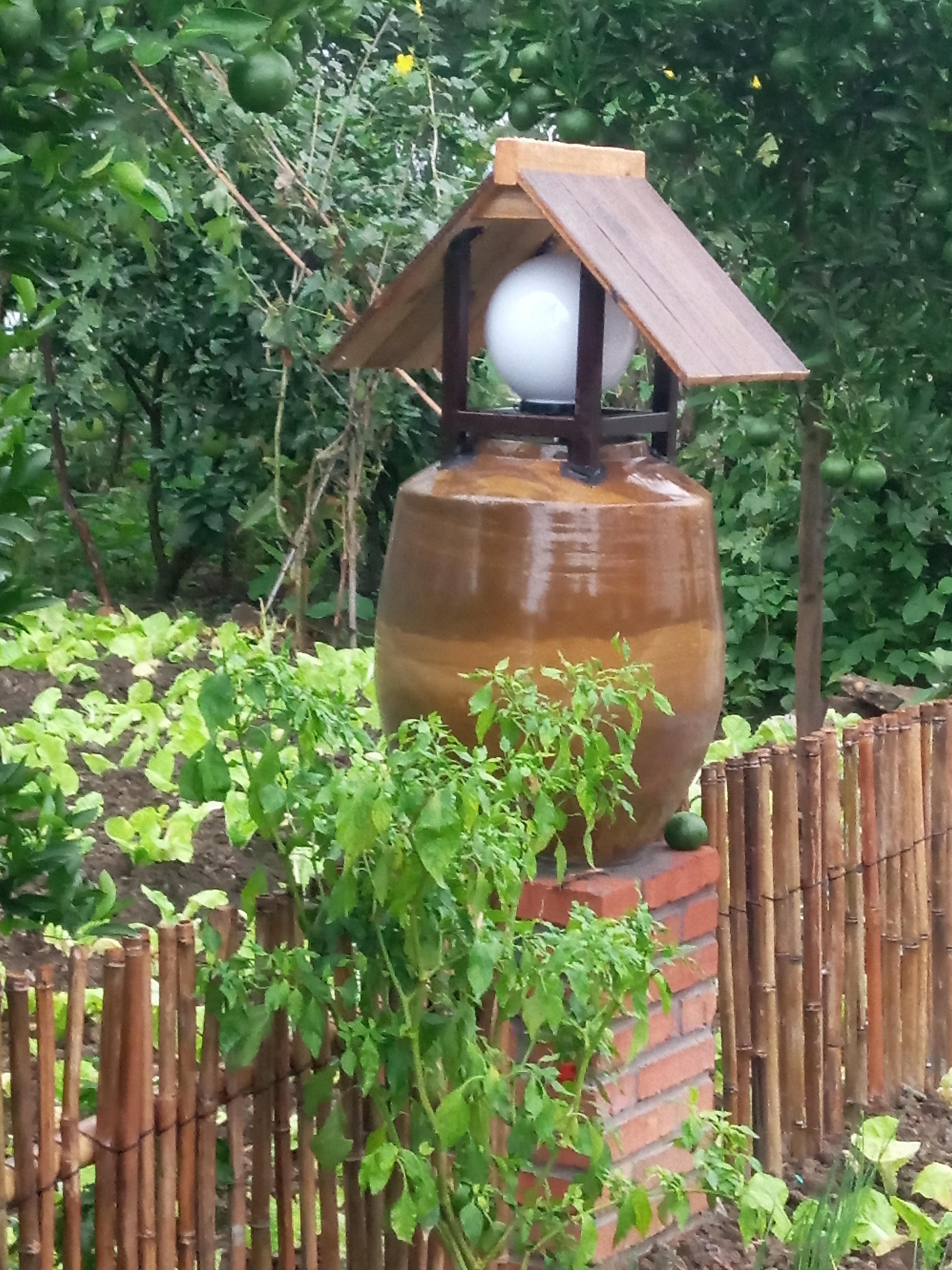 枝江董市曹店村