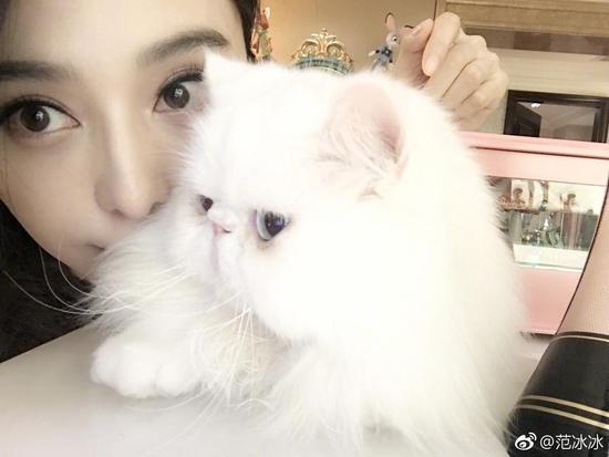 买来事故车 曾赔了30万比车价还高 购买二手车