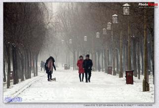 武汉白领网上兼职网络写手 日码万字月入过万