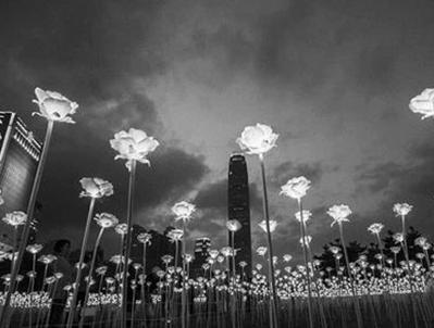 武汉航运交易所建设五年成型 2019年交易额