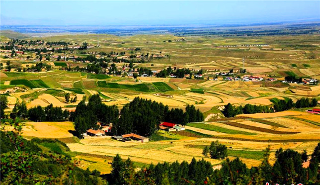 宜昌首家农村劳务专业合作社成立 正式在工商