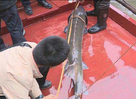 湖北乡村旅游发展规划出炉:10年打造六大特色