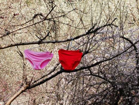 唯品会华中区物流配送中心鄂州运营