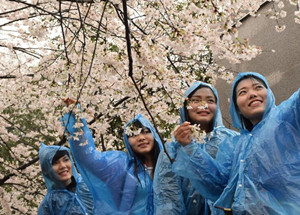芜湖本地焊接设备发票