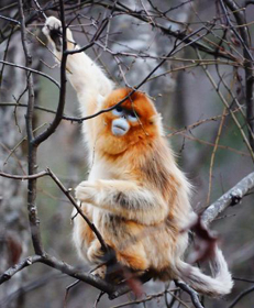 广西初二男生强拖女老师进男厕所殴打 猛踢下