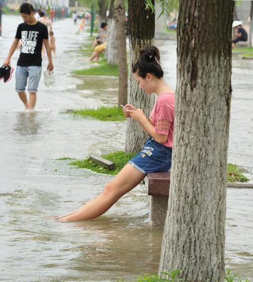 全国两优一先拟表彰对象公示公告(名单)