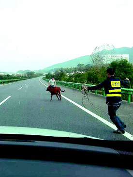 湖北3地级市任免一批干部 涉及多位厅官(图)