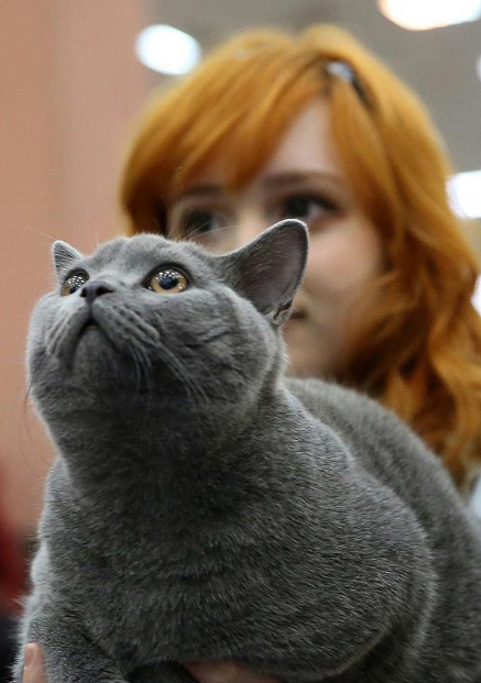 中共湖北省委组织部干部任前公示公告_荆楚网