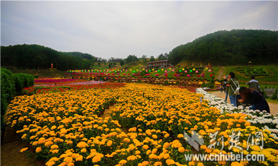 _MG_8309.jpg