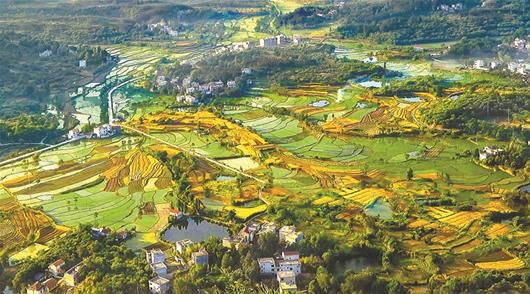 实干兴湖北辉煌这五年罗田绿色发展先行区