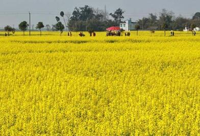 �㺺�������Ի�Ϊý�� �����������