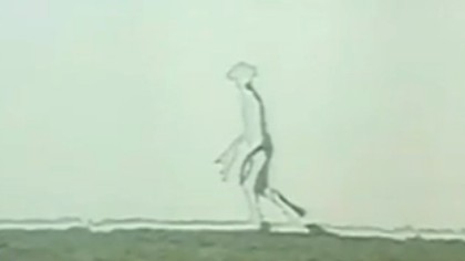 台湾外星人头部像昆虫 台湾外星人身形巨大手有蹼