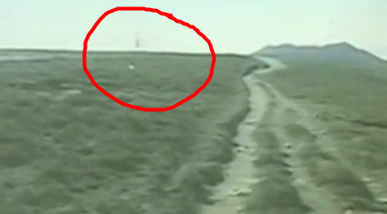 台湾外星人头部像昆虫 台湾外星人身形巨大手有蹼