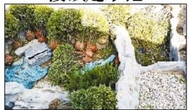 张必清自拍的水池子